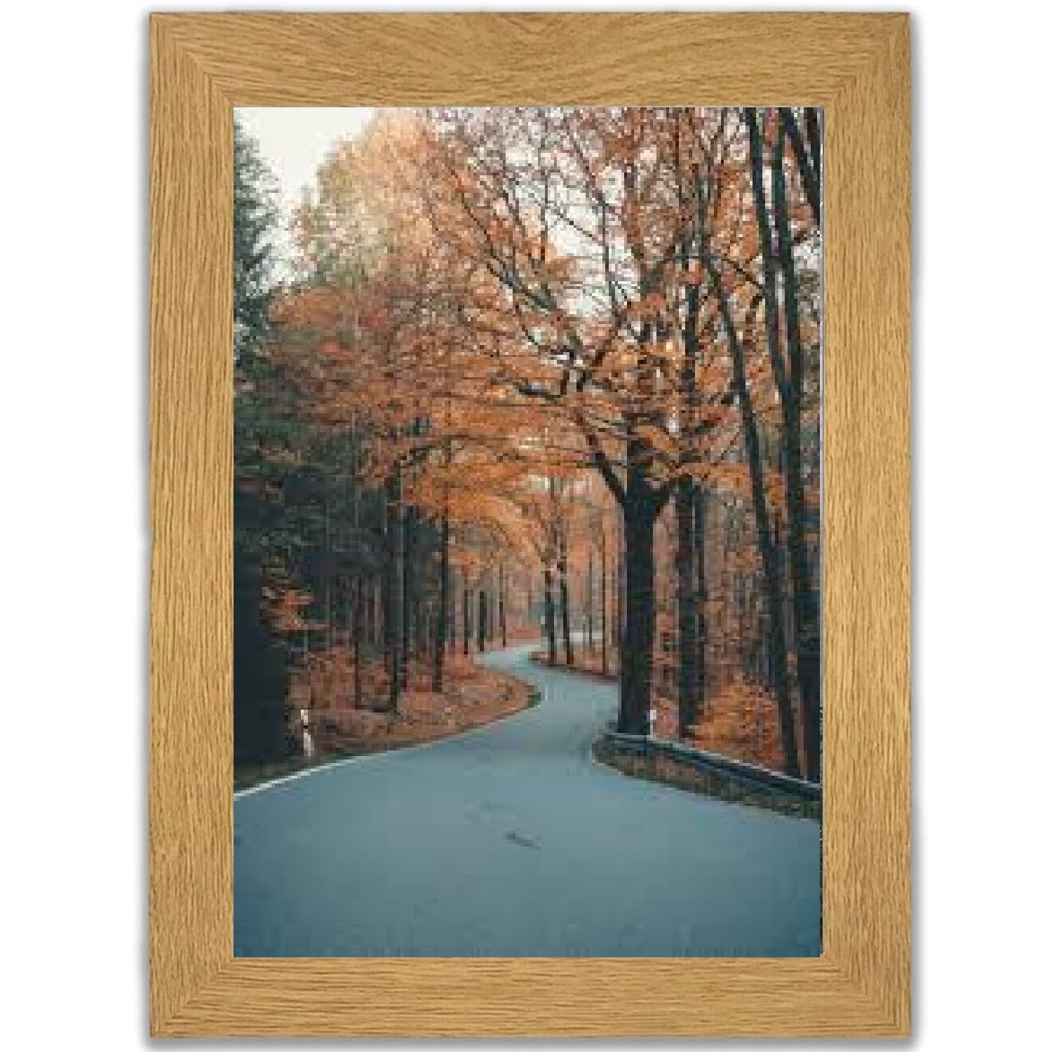 Multi Wooden Grains Photo Frames for Wall
