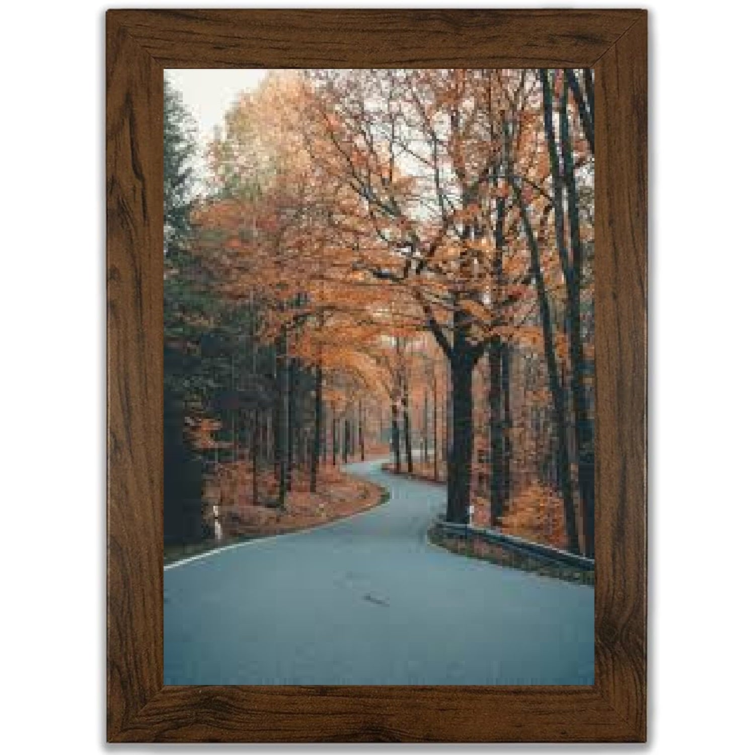 Multi Wooden Grains Photo Frames for Wall