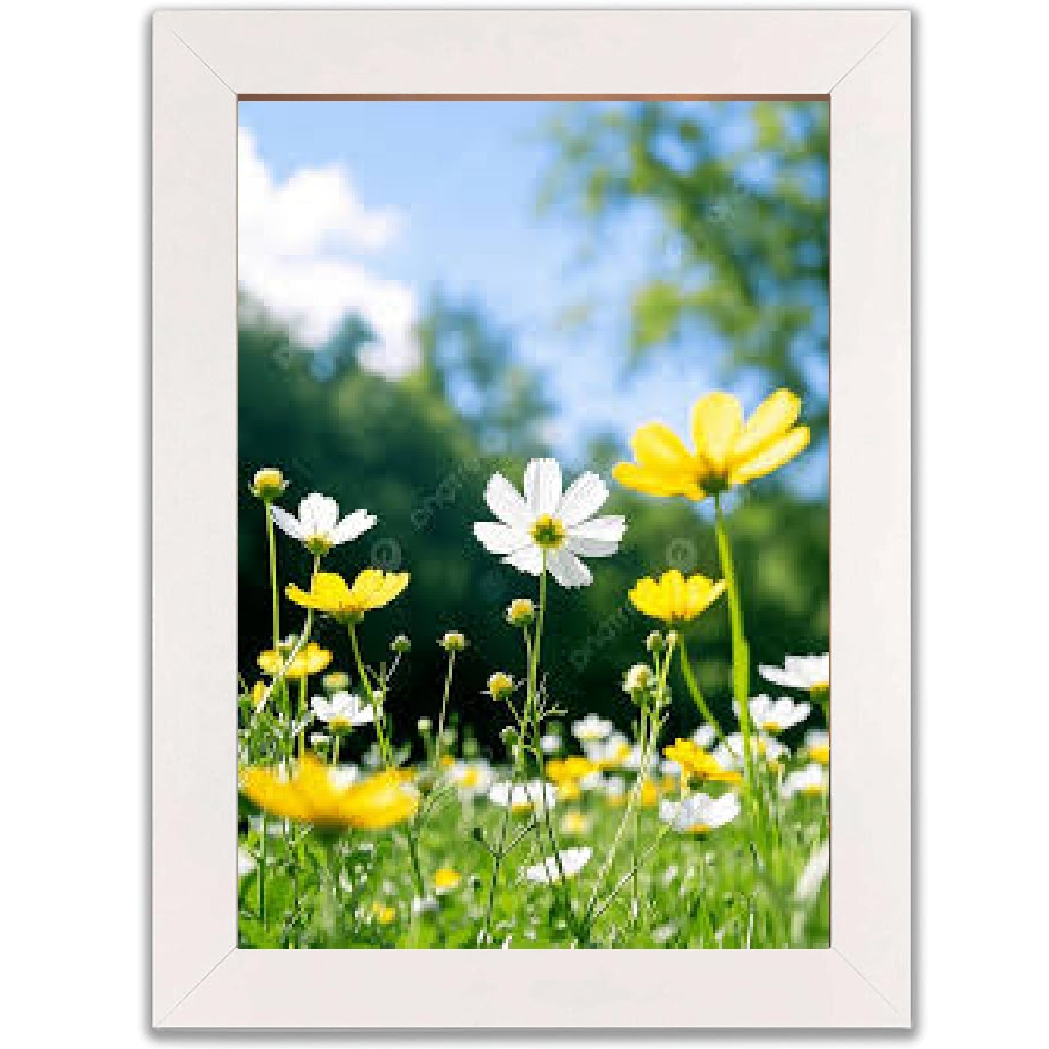 Multi Wooden Grains Photo Frames for Wall